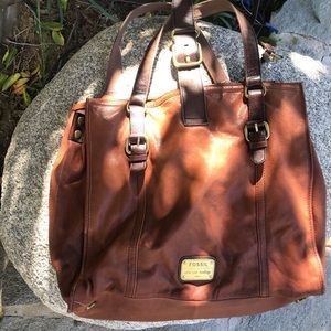 Large fossil bag
